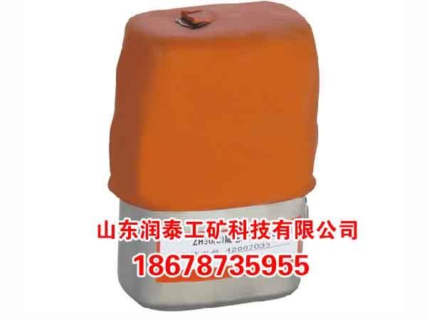化學氧ZH30(C)